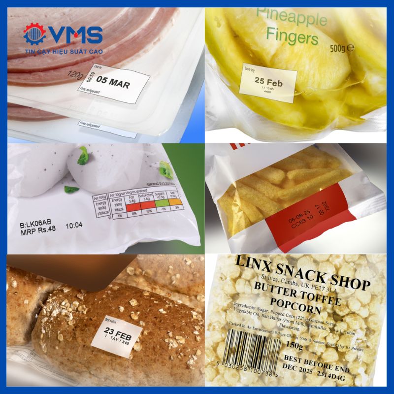 Ứng dụng thực tế của máy in truyền nhiệt TTO 