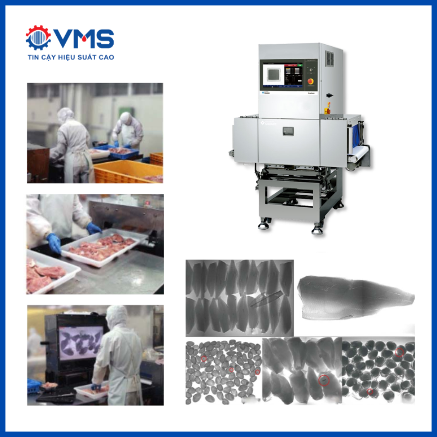 VMS - Địa chỉ cung cấp máy dò tạp chất XRay