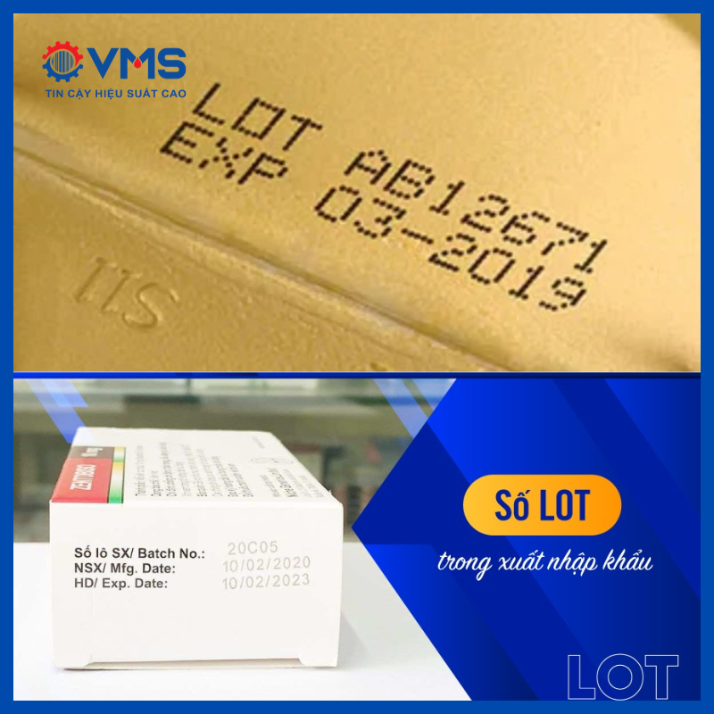 Số Lot (Lot Number)